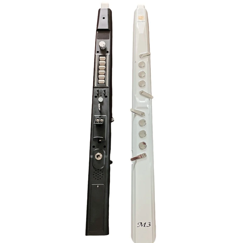 EWI electronic wind instrument -