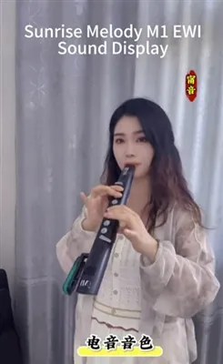 SUNRISE MELODY M1 전자 관악기 사운드 디스플레이, 전자 음악 사운드 - 蒙古人