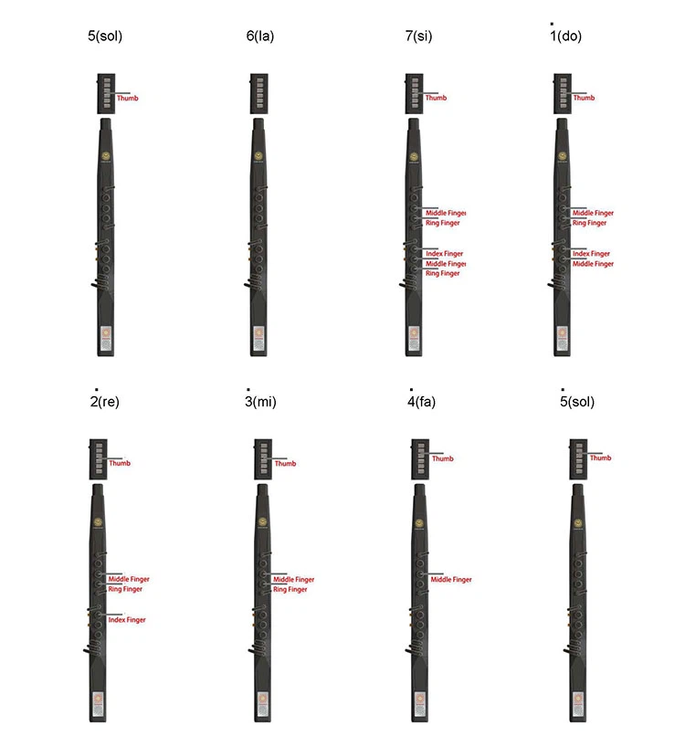 Cucurbit flute fingering 2